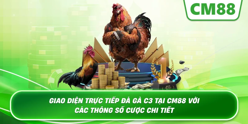 Giao diện trực tiếp Đá Gà C3 tại CM88 với các thông số cược chi tiết