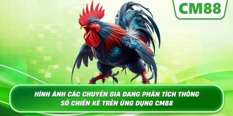Hình ảnh các chuyên gia đang phân tích thông số chiến kê trên ứng dụng CM88